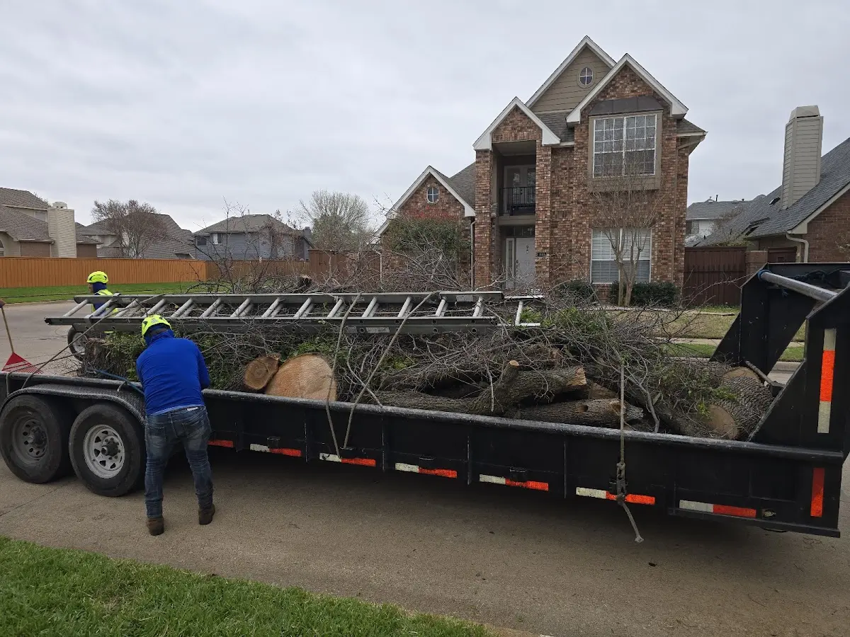 Expert Tree Removal with proper safety equipment in Treichlers
